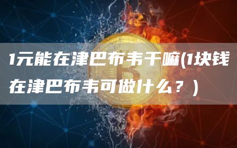 1元能在津巴布韦干嘛 - 1块钱在津巴布韦可做什么？